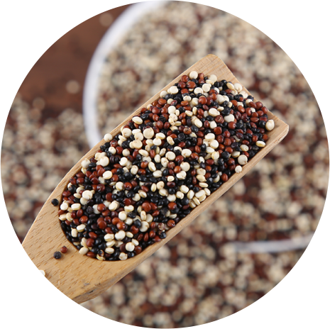 enTricolor Quinoa
