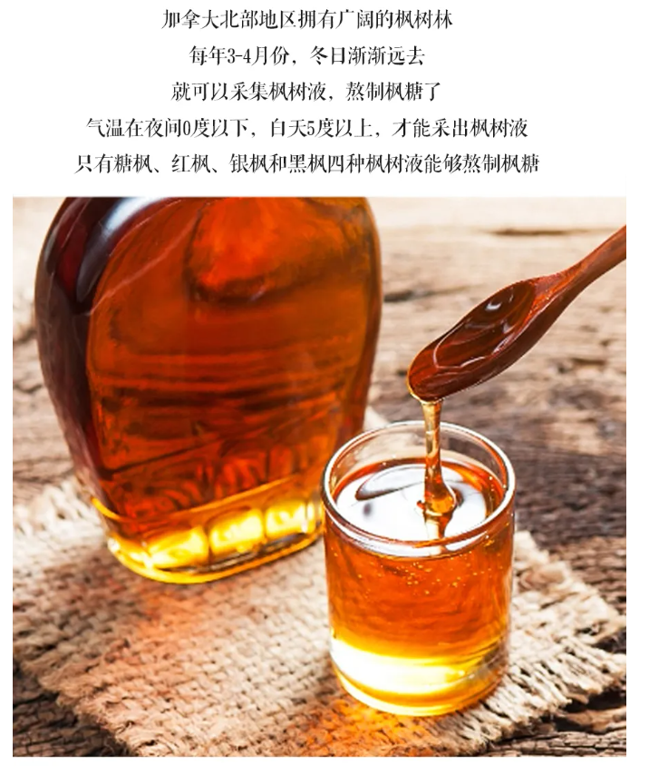 枫糖浆4.png